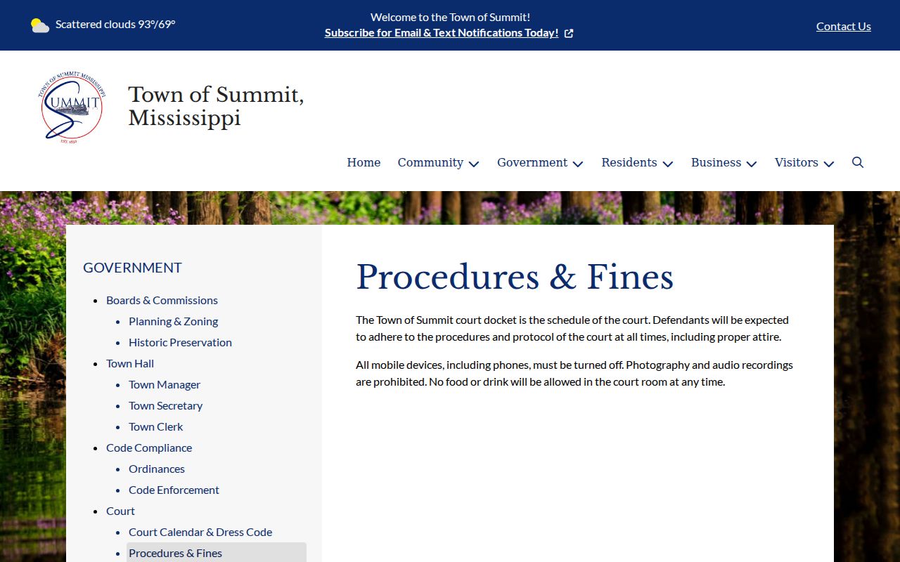 Summit court docket schedule and procedure source